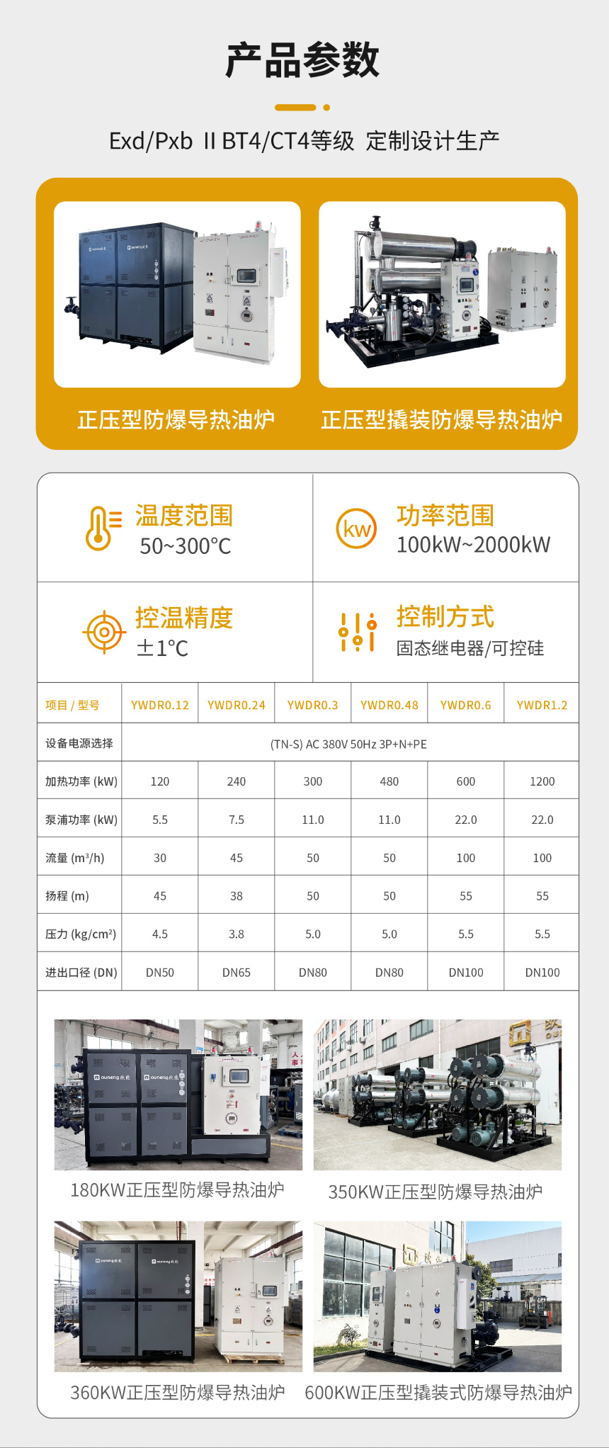電加熱防爆導(dǎo)熱油設(shè)備